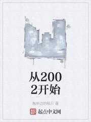 从2002开始